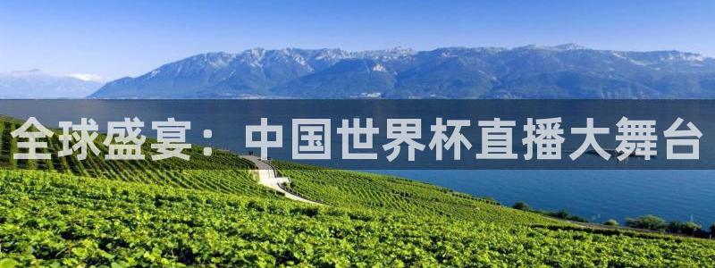 亚洲杯比赛直播:全球盛宴:中国世界杯直播大舞台