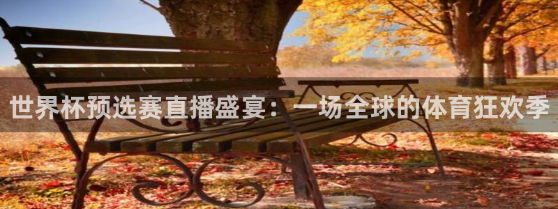 世界杯球赛:世界杯预选赛直播盛宴:一场全球的体育狂欢季