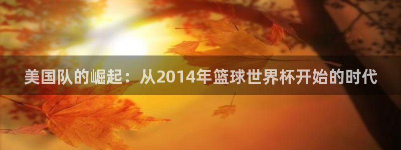看世界杯:美国队的崛起:从2014年篮球世界杯开始的时代