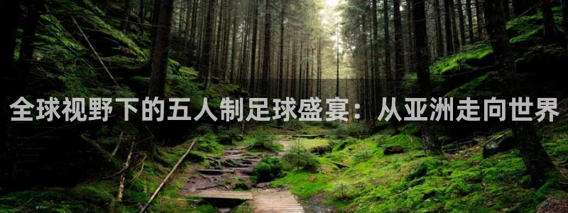 世界杯足球比赛:全球视野下的五人制足球盛宴:从亚洲走向世界