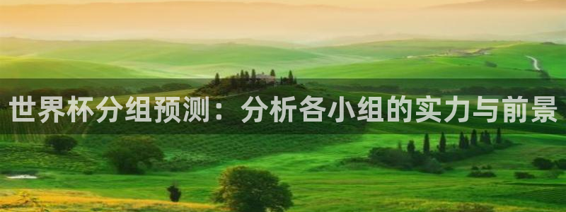 世界杯直播高清:世界杯分组预测:分析各小组的实力与前景