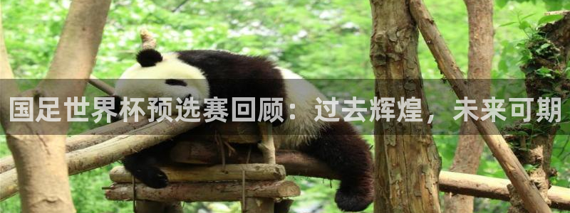 世界杯官网:国足世界杯预选赛回顾:过去辉煌,未来可期