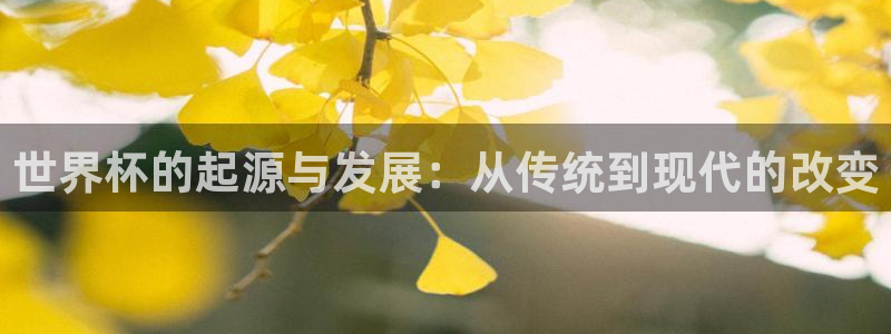 亚洲区世界杯预选赛:世界杯的起源与发展:从传统到现代的改变