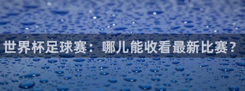 2026世界杯:世界杯足球赛:哪儿能收看最新比赛?