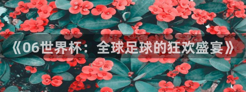 女足世界杯赛程:《06世界杯:全球足球的狂欢盛宴》