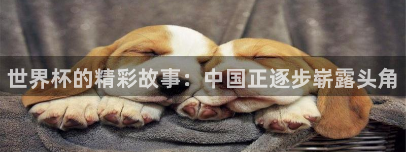 2006年世界杯:世界杯的精彩故事:中国正逐步崭露头角